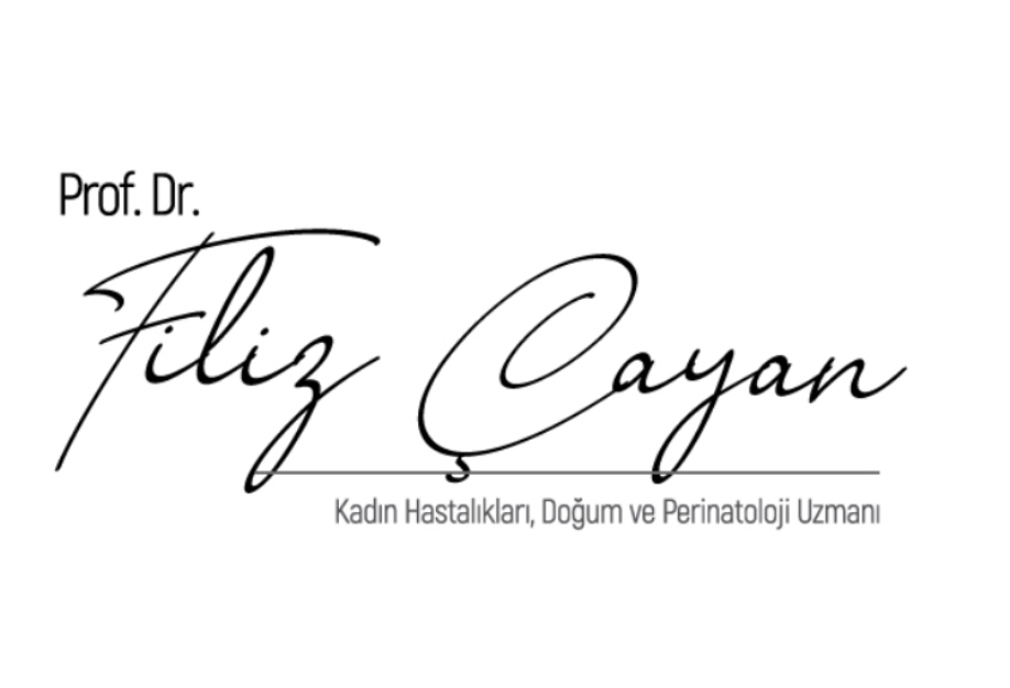 Prof Dr Filiz Evşen Çayan