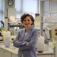 Prof. Dr. Rana Sanyal